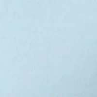 Petite Short Sleeve V-Neck T-Shirt