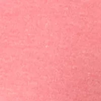 Petite Short Sleeve V-Neck T-Shirt