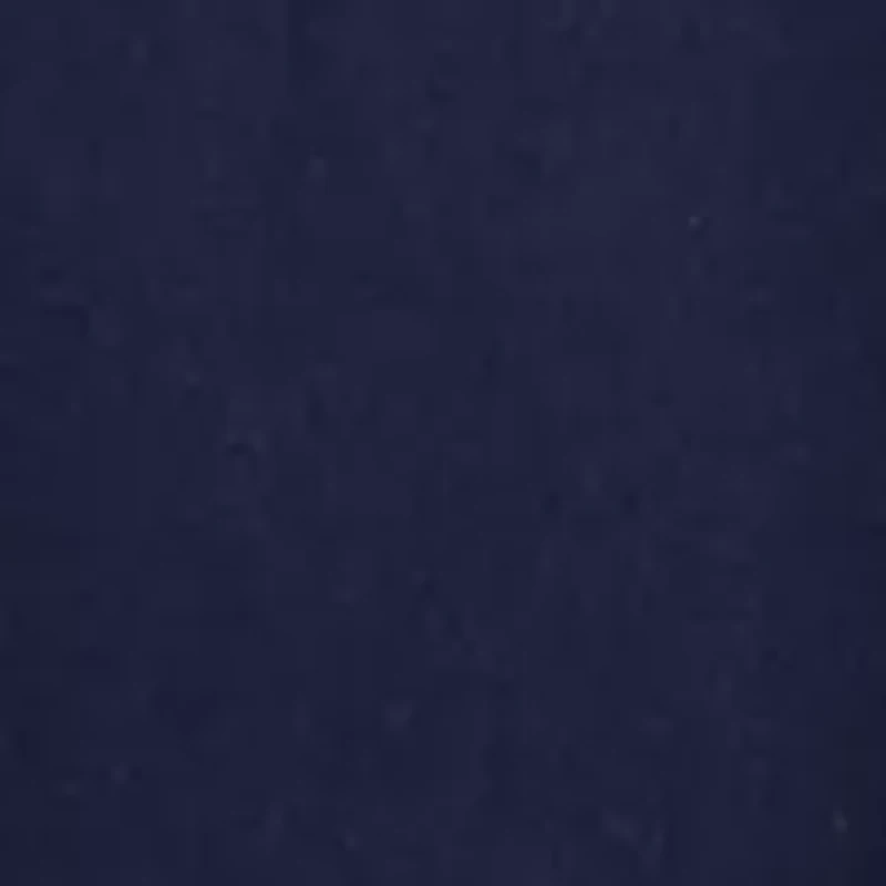 Petite Crew Neck Graphic T-Shirt