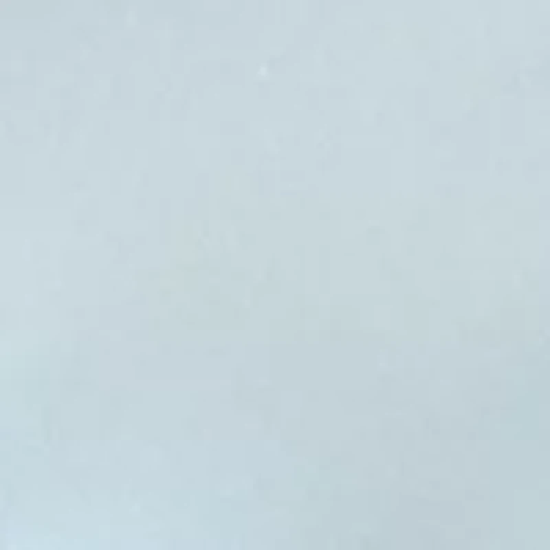 Petite Crew Neck Graphic T-Shirt