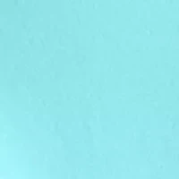 Petite Crew Neck Graphic T-Shirt