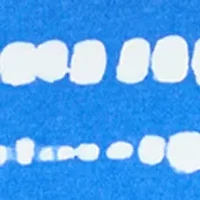 Petite Short Sleeve Striped Cotton V-Neck Top