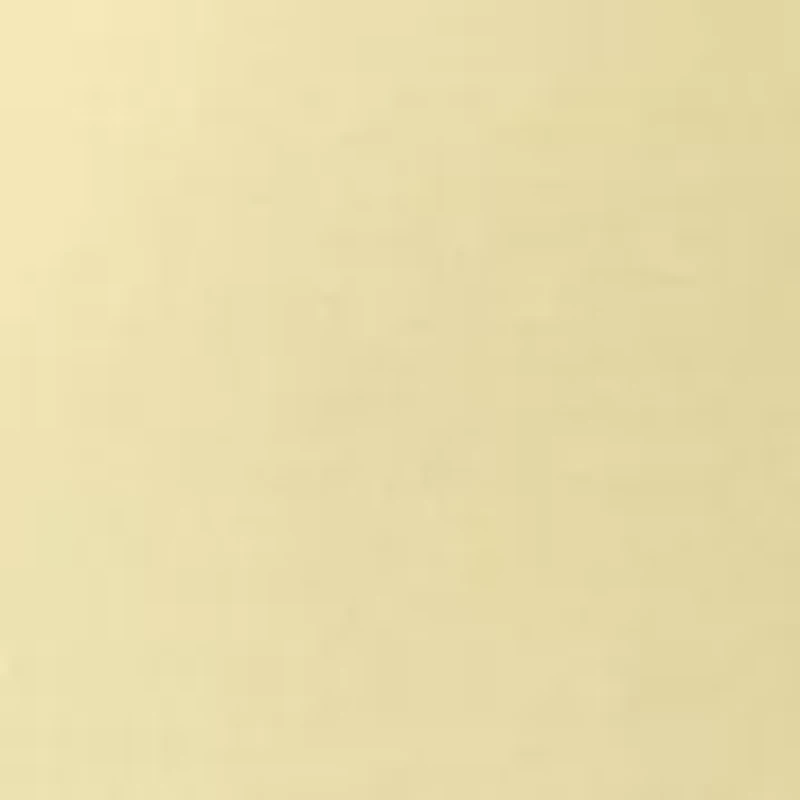 Petite 3/4 Sleeve Crew Neck Graphic Shirt