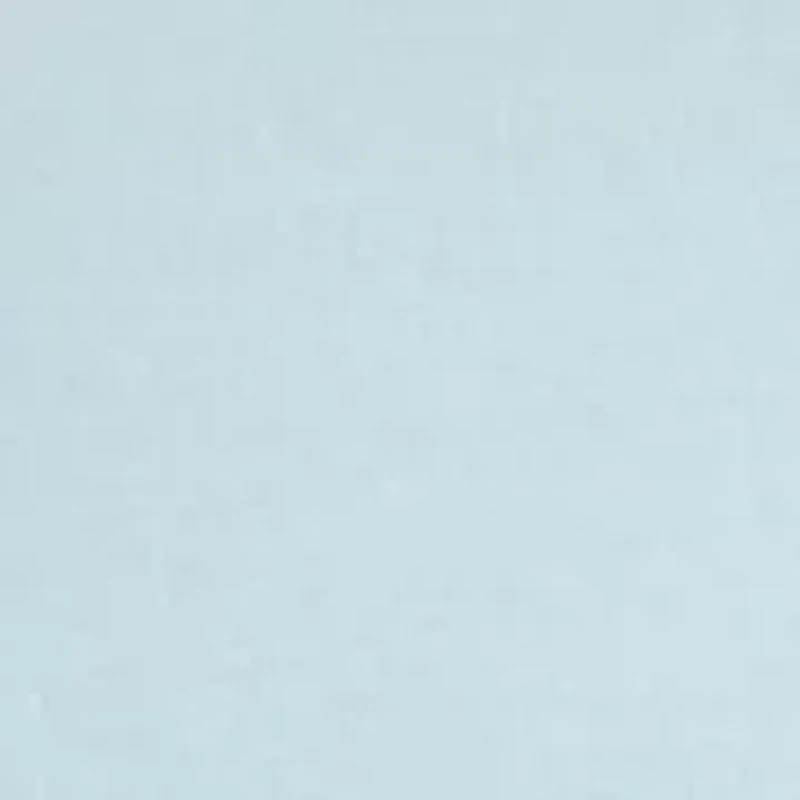 Petite Elbow Sleeve T-Shirt with Scallop Trim