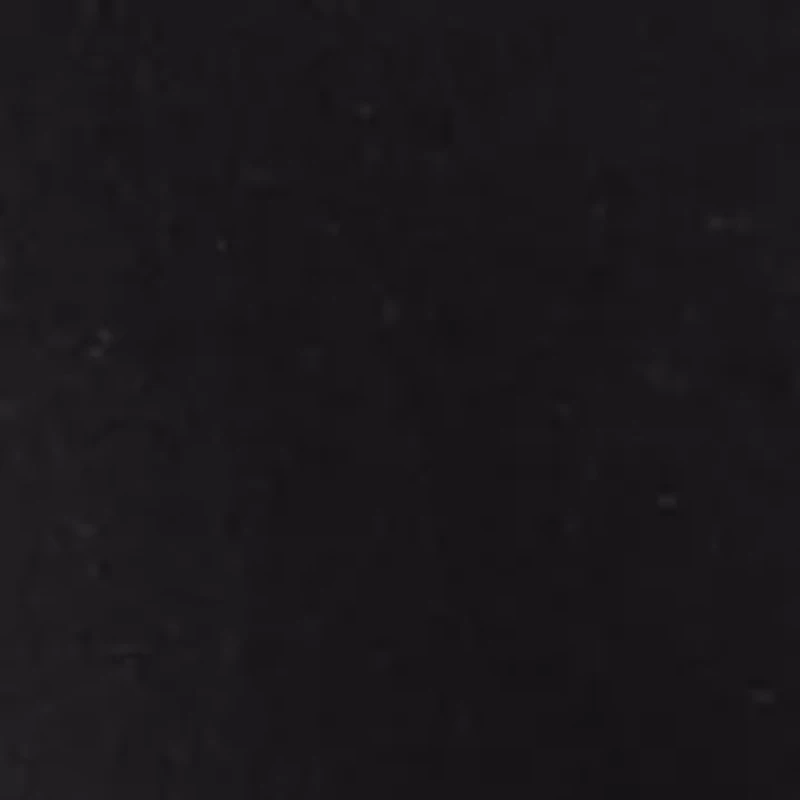 Petite Crew Neck Solid T-Shirt