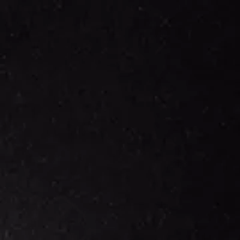 Petite V-Neck T-Shirt