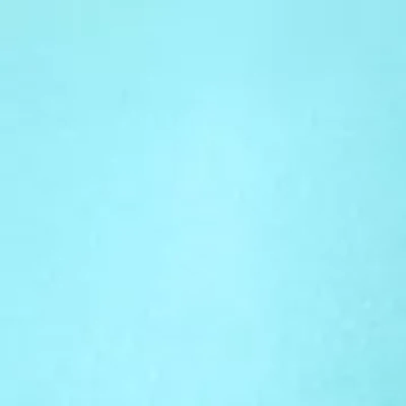 Women's Short Sleeve Crew Neck Fashion T-Shirt