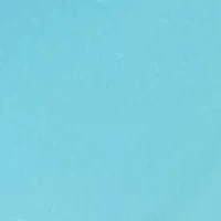 Women's Short Sleeve Crew Neck Graphic Top