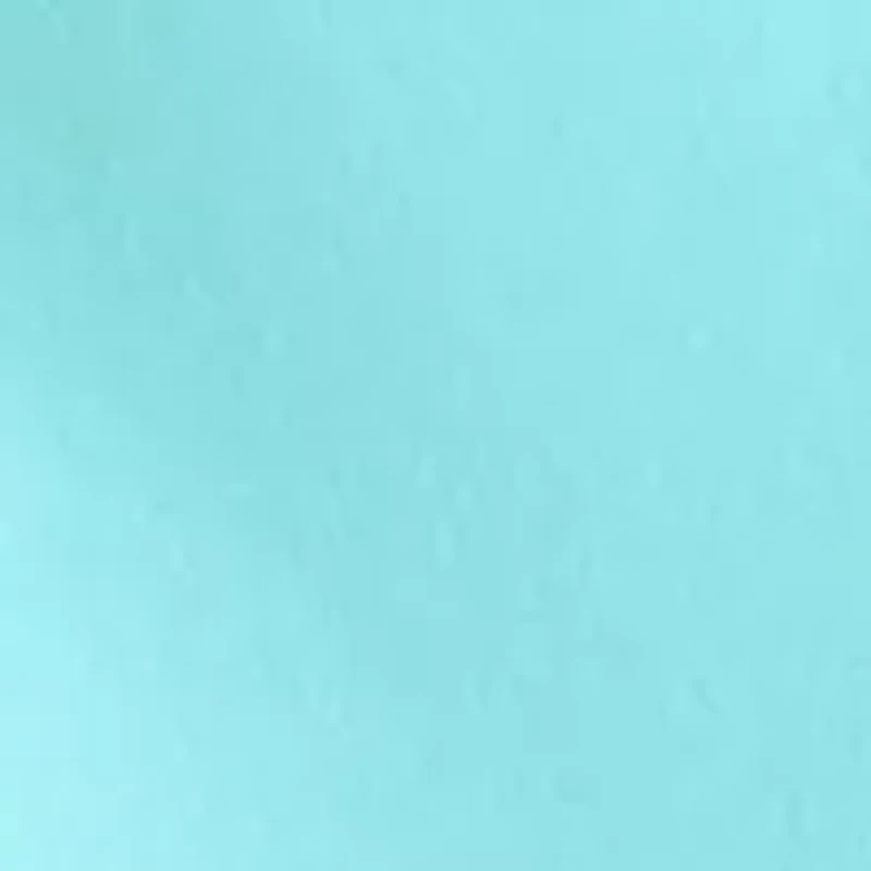 Women's Short Sleeve Crew Neck Graphic Top