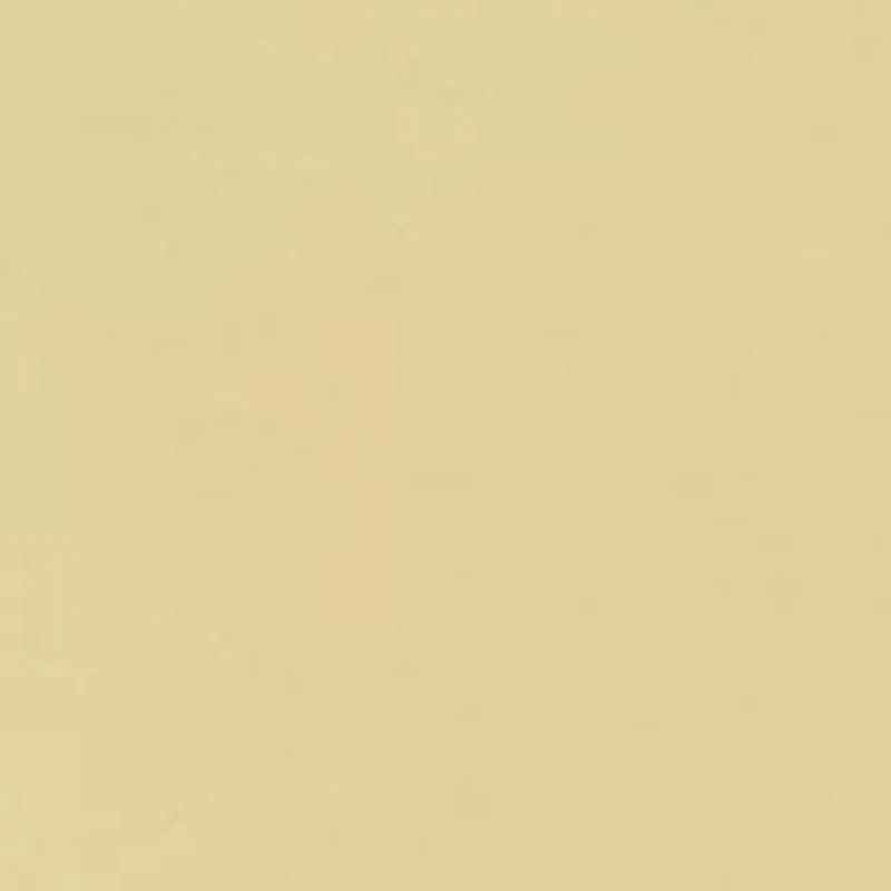 Women's Graphic T-Shirt