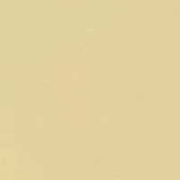 Women's Graphic T-Shirt