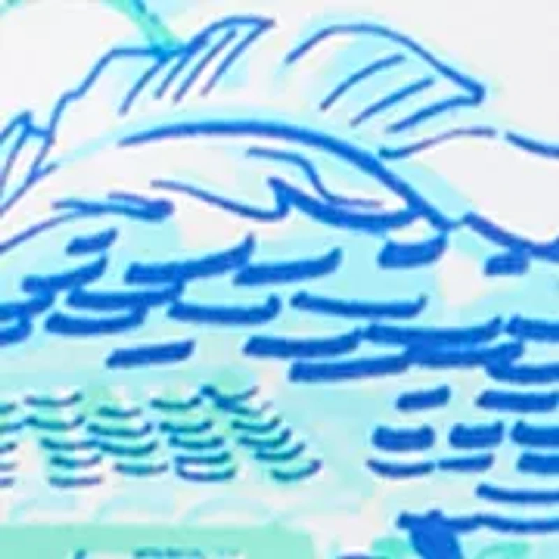 Women's 3/4 Sleeve Print Shirt