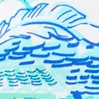 Women's 3/4 Sleeve Print Shirt