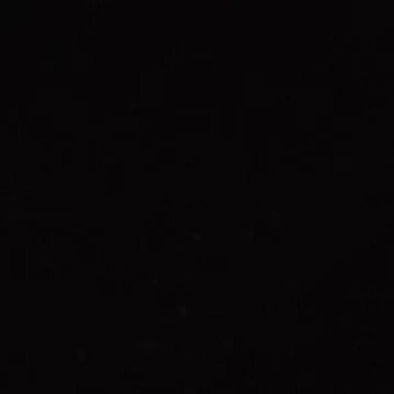 Women's Short Sleeve Crew Neck T-Shirt