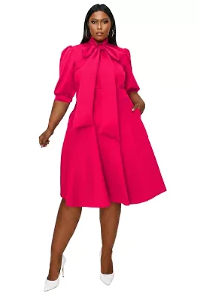 Plus Carina Donna Flare Dress w/ Pockets