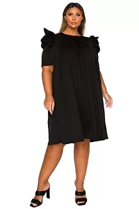 Plus Zaya Pleated Swing Dress