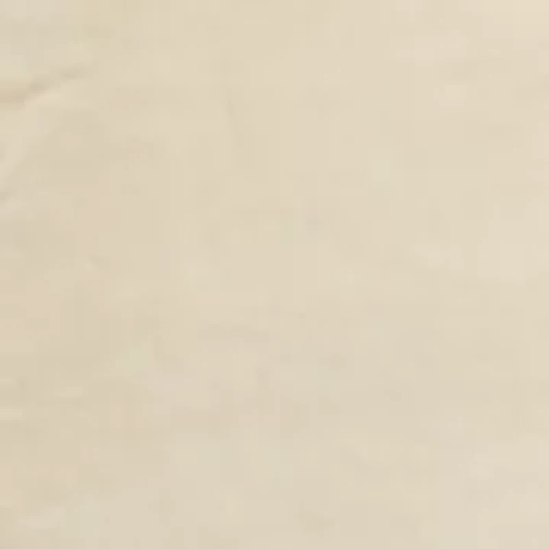 Petite Blouson Sleeve Tie Neck Blouse