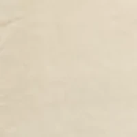 Petite Blouson Sleeve Tie Neck Blouse