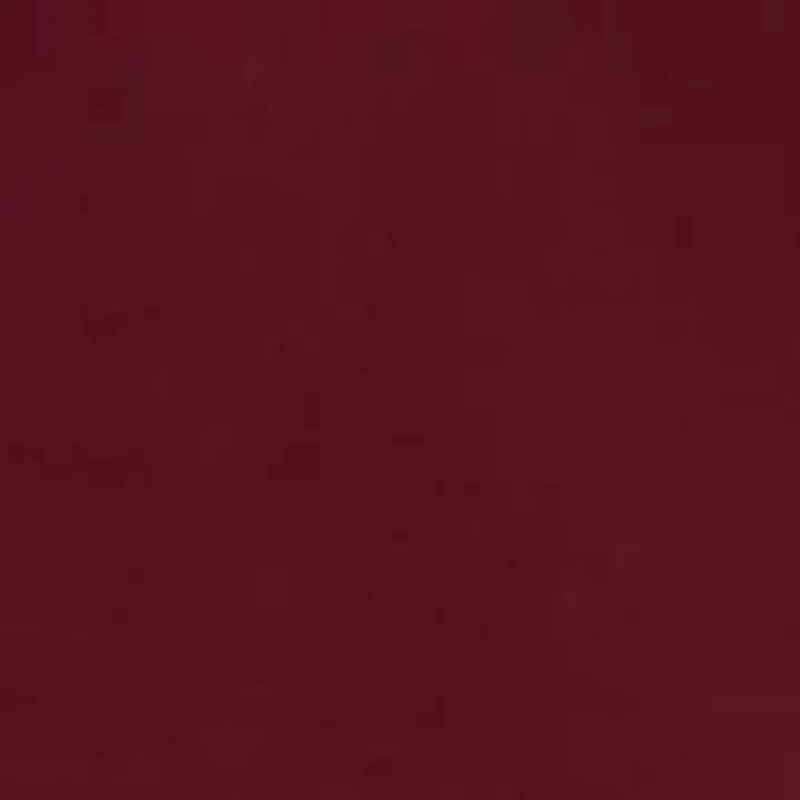 Petite Collection Compression One Button Notch Collar Jacket