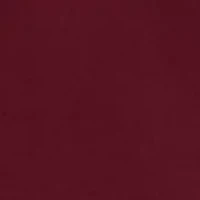 Petite Collection Compression One Button Notch Collar Jacket