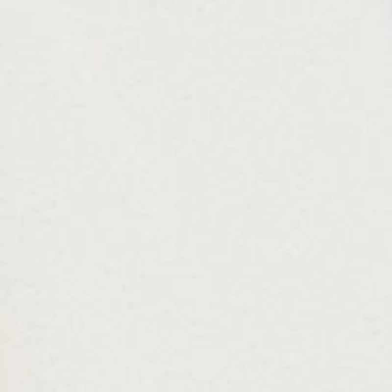 Petite V-Neck Pleat Front Tunic Top