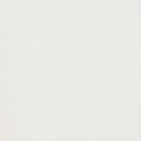 Petite V-Neck Pleat Front Tunic Top