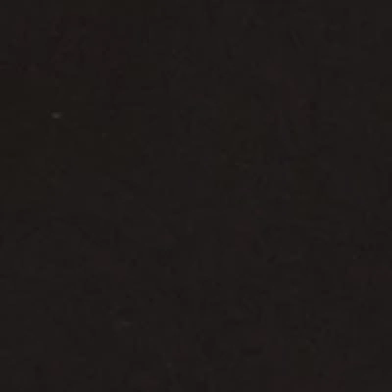 Petite Seamless Turtleneck Top