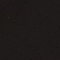 Petite Seamless Turtleneck Top