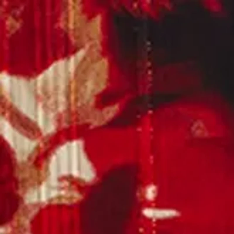 Plus Long Sleeve V-Neck Smocked Blouse