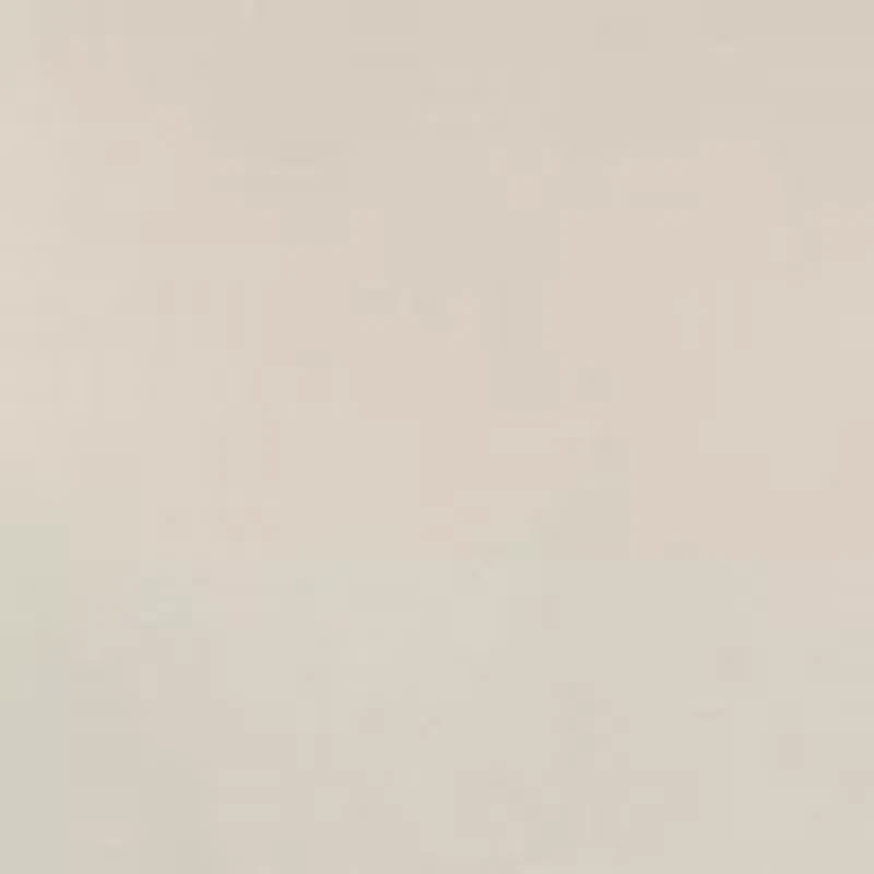 Women's Long Sleeve Seamless Turtleneck Sweater