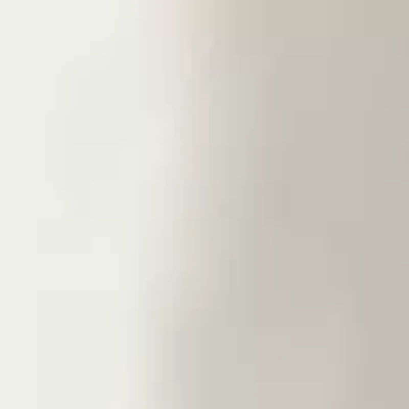 Petite High Rise Double Dart Wide Leg Trousers