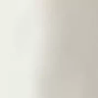 Petite High Rise Double Dart Wide Leg Trousers