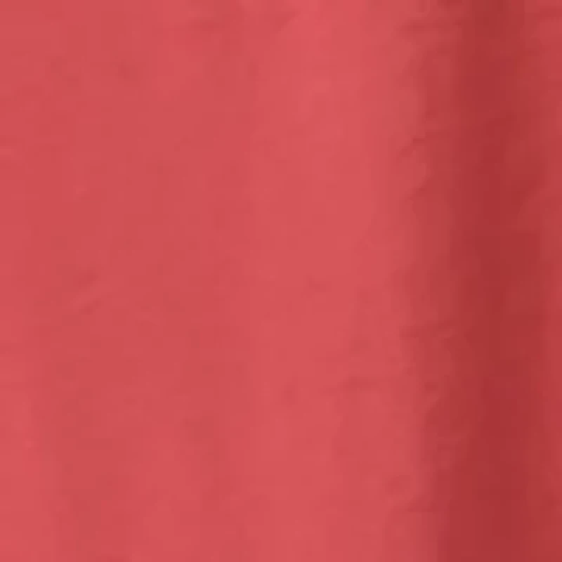 Petite Pleat Front Wide Leg Pants