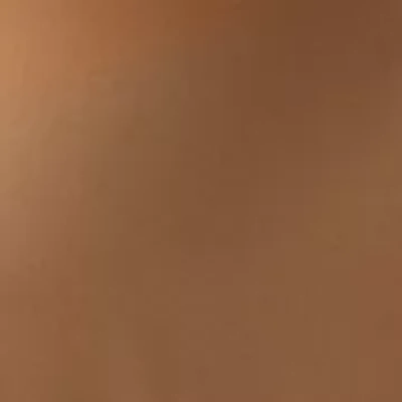 Petite Long Sleeve Tie Neck Bow Blouse