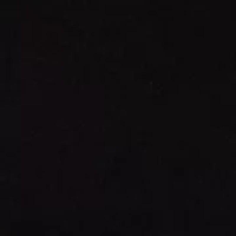 Women's Seamless Turtleneck