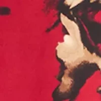 Women's Short Sleeve Bateau Neck Blouse