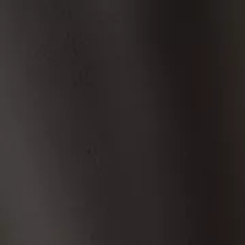 Petite Pull On Faux Leather Pants