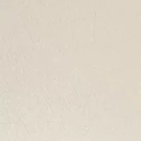 Petite Embellished Bracelet Sleeve Top