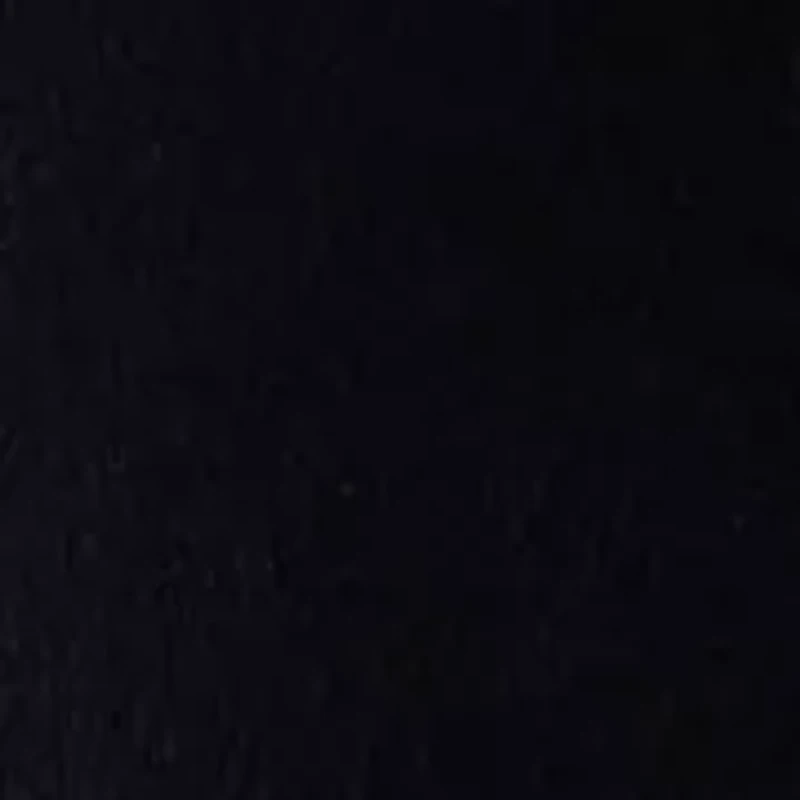 Women's Crew Neck with Feather Trim