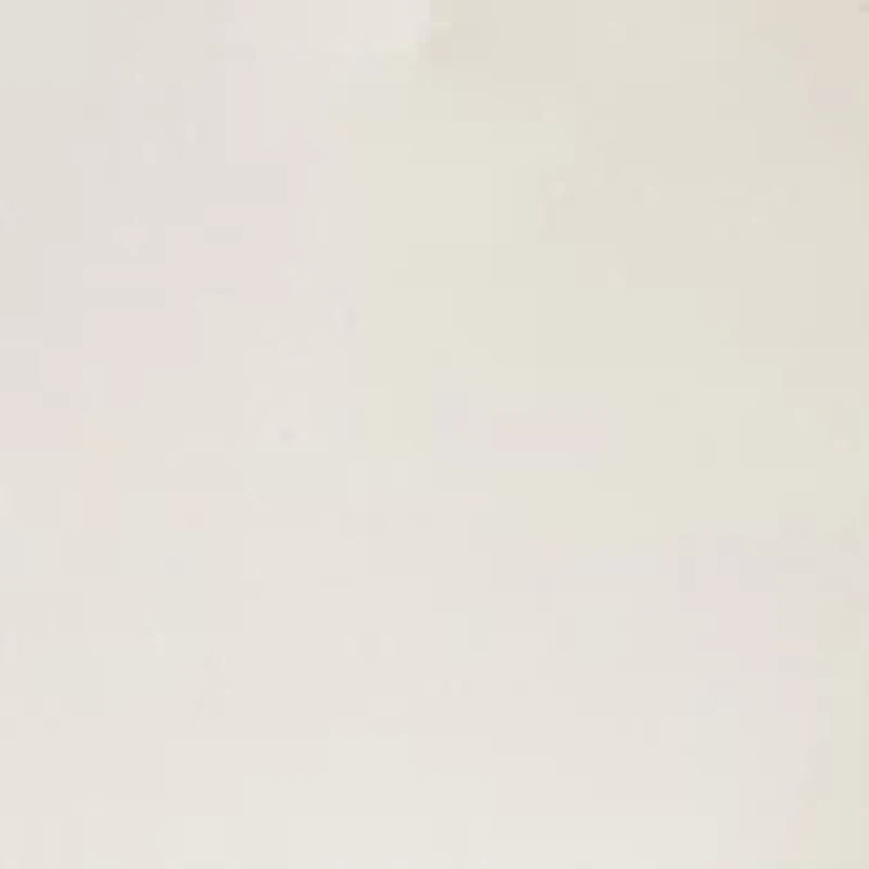 Petite Fly Front Bootleg Pants