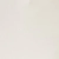 Petite Fly Front Bootleg Pants