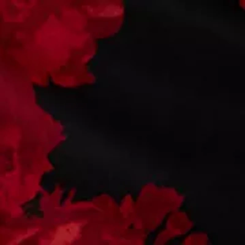 Plus Sleeveless Shirred Surplice Top