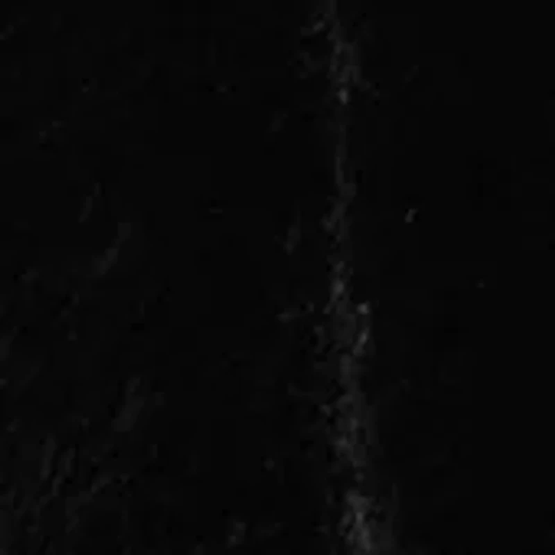 Petite Cropped Notch Collar Fur Jacket