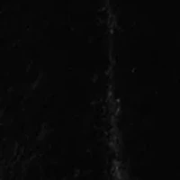 Petite Cropped Notch Collar Fur Jacket