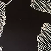 Petite 3/4 Sleeve Boat Neck Top