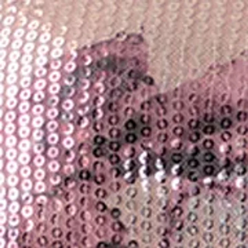 Petite Dark Rose Mist Multi Floral Sequin T-Shirt