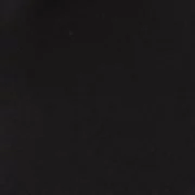 Women's Long Ruffle Sleeve Shirred Neck Top