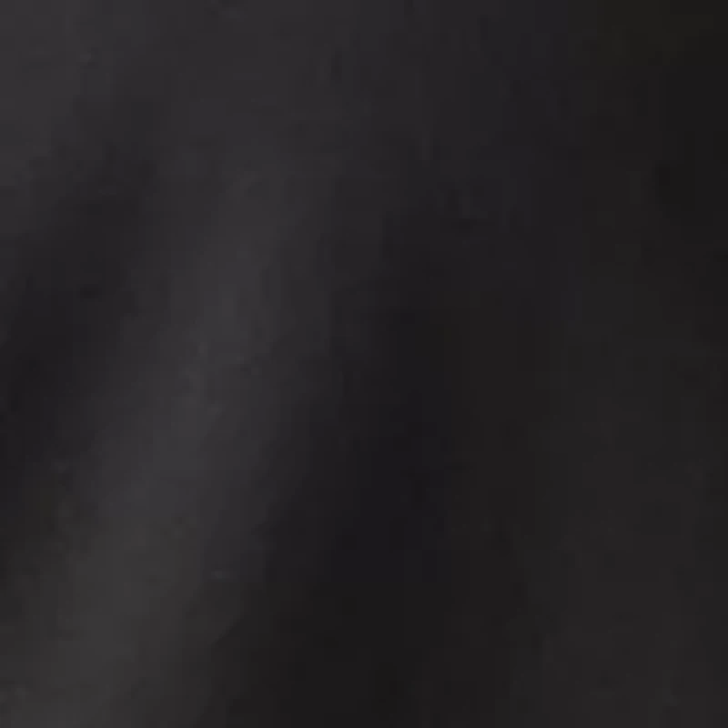 Petite Ruffle Sleeve Shirred Blouse