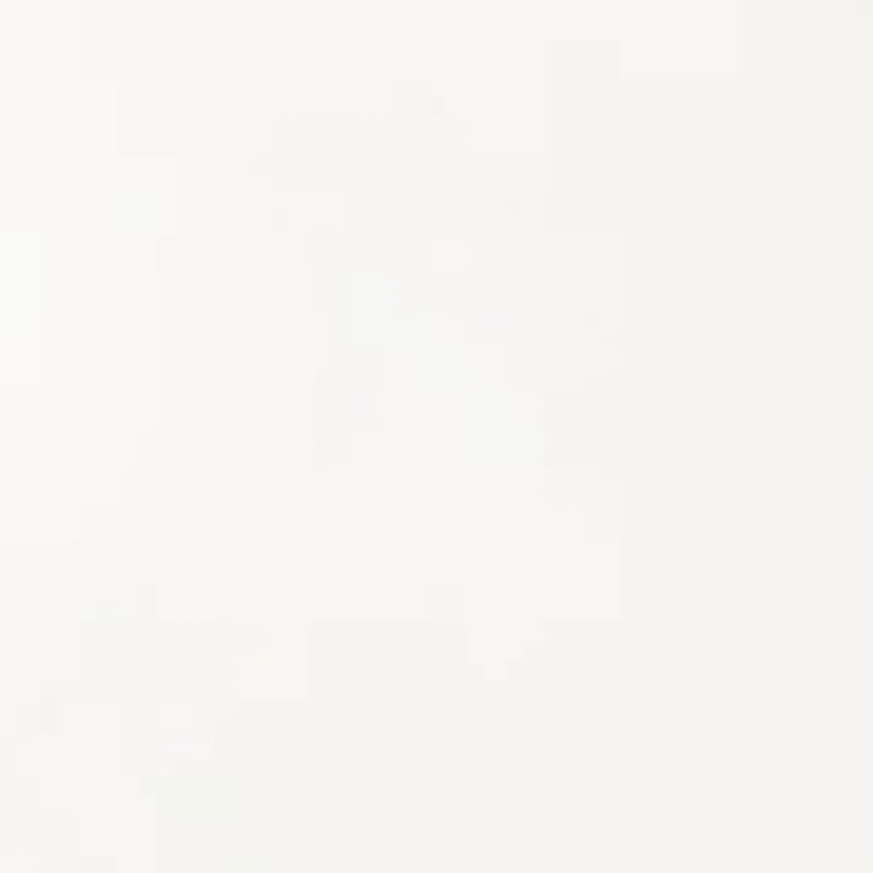 Women's High Rise Wide Leg Pants