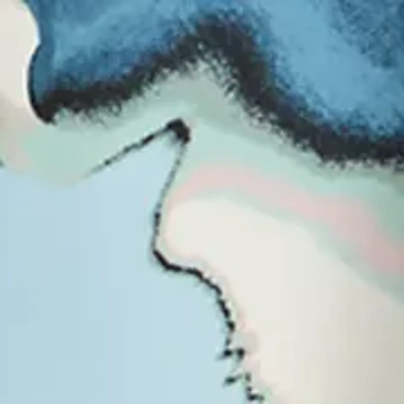 Women's Bias Flared Midi Skirt